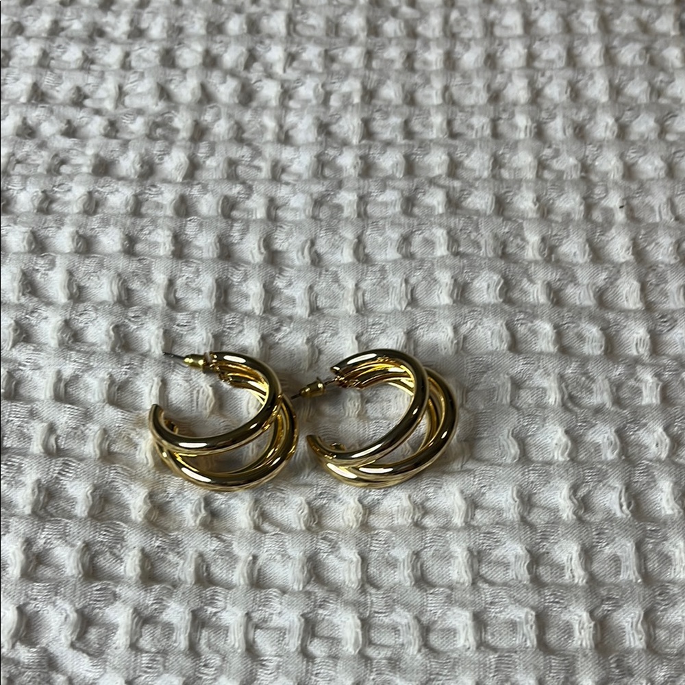 Elegant Gold Hoop Earrings